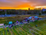 Vendimia al atardecer en Des De La Torre: copas, música y viñedos en Chos Malal