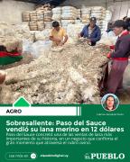 Paso del Sauce vendió su lana merino en 12 dólares