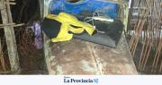 Intentaron esconder objetos robados en una camioneta abandonada y terminaron descubiertos