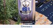 Operativo en Rivadavia: secuestraron droga y más de $1 millón