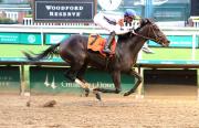 En fuerte atropellada: Incredibolt se lleva los honores del Virginia Derby y logra 50 puntos para el Kentucky Derby