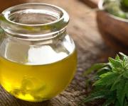 Exportaciones de productos de cannabis en Uruguay superaron US$2 millones en 2025