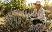 Las plantas que hay que podar en marzo para dejar el jardín listo para el invierno