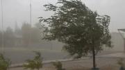 Vientos fuertes y lluvia en la provincia, para el domingo se amplía la alerta naranja en Neuquén