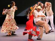 Cada 15 de marzo, Venezuela celebra el Día Nacional del Joropo