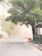 El tiempo en Mendoza este domingo: cálido y con una zona en alerta por Zonda