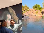 Pileta con cascada y una mini Bombonera: así es la lujosa mansión de Carlos Tevez