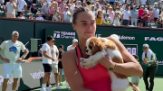 El tierno perrito de Aryna Sabalenka, que la acompañó en todo momento y la ayudó en salud mental en Indian Wells, donde se proclamó campeona