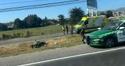 Motorista de Carabineros resulta lesionado tras choque en Ruta 5 Norte en Coquimbo