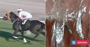 Caballo de carreras fue sacrificado y cocinado en comedor social en Turquía: hallan su chip en comida