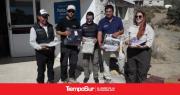 Comenzó la Temporada de Orcas en Chubut