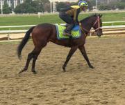 Un origen de élite en tierras del sur engalana la jornada 13 en La Rinconada