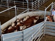 La crisis le puso un freno a la escalada del precio de la hacienda