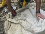 Hallan en Italia una tumba romana del año 0 con escenas de gladiadores