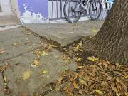 Cipolletti endurece sanciones por veredas en mal estado: las multas pueden superar los $7 millones