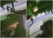 A una vecina de Carrasco le robaron en 10 minutos su contenedor intradomiciliario de la IM