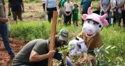 Invitan a la ciudadanía a sumarse a gran plantación de árboles nativos