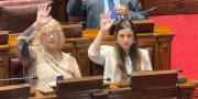 Vanesa Gastán, joven nacionalista doloreña, asumió la banca en Diputados