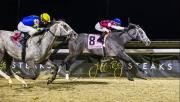 Kentucky Derby: Fullefort por la gloria en el Jeff Ruby Steaks G3 en Turfway Park