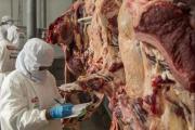 Bolivia concreta los dos primeros envíos de carne bovina a Egipto