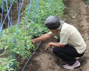 Producción limpia, recuperando saberes ancestrales