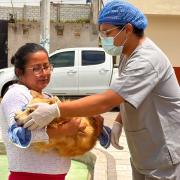 Impulsan jornadas gratuitas de esterilización 