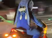 Un erizo en las calles de Maracaibo: Sonic sorprende a conductores sobre una motocicleta