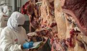 Bolivia concreta los dos primeros envíos de carne bovina a Egipto