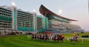 Meydan desafía el caos: Conoce los posibles participantes de alto rango para la Dubai World Cup a una semana de su cita