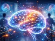 La poderosa vitamina para fortalecer el cerebro y en qué alimentos se encuentra