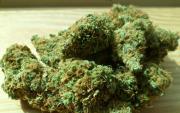 Cannabis medicinal: estudio cuestiona beneficios en salud mental