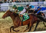 ¡Agarren dato! Mira la reveladora confesión sobre Golden Tempo que salta como favorito para el Louisiana Derby G2