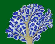 Semana del Cerebro organiza jornada de juegos perceptivos y desafíos cognitivos para niños