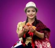 Gualaceo celebra 60 años del Festival del Durazno: conozca la agenda de actividades