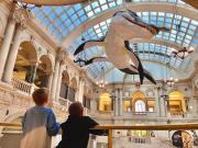 El Museo de Historia Natural de Londres, la atracción más visitada del Reino Unido en 2025