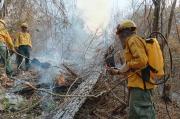 Bomberos voluntarios preparan plan de prevención y capacitación para evitar incendios en áreas rurales de Tarija