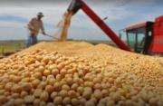 El Gobierno publica el decreto 5591 que anula el arancel cero para la importación de soya