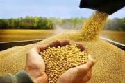 Gobierno abroga decreto que establecía arancel cero para la importación de grano de soya