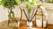 Cómo preparar un perfume único para aromatizar el hogar