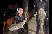 Sorpresa en el río: pescaron un surubí de 17 kilos en plena madrugada