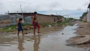 Perú, en alerta epidemiológica por un brote de leptospirosis