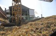 El Ingenio Guabirá prevé moler 3,5 MM de t de caña