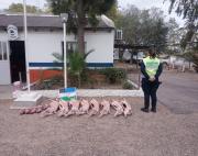 Llevaba carne sin habilitación para vender en San Antonio: lo frenaron en la Ruta 3 y decomisaron la carga