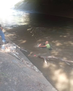 Rescatan a un hombre en las riberas del río Guaire: cayó a la altura de Plaza Venezuela