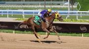 Javier Castellano con doblete y suma seis triunfos en dos días en Gulfstream Park