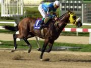 Tal día como hoy: La máquina corredora desafió las leyes de la física con 60 kilos en el lomo