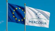 La Unión Europea anunció que el acuerdo comercial con el Mercosur se aplicará provisionalmente desde el 1° de mayo