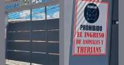 Ni animales, ni “therians” y peluquería gratis: Escuela de Ypané con polémicas normas
