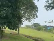 Se estrelló un avión militar en Colombia: los impactantes videos del accidente