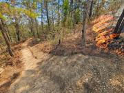 Incendios en varias zonas de Caracas este 23 de marzo: imágenes aquí